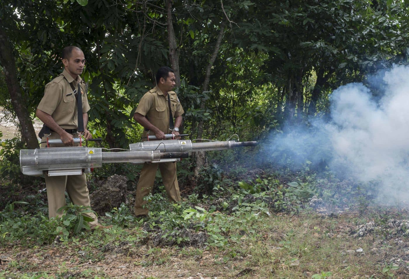 Pest control officers treating an outdoor area with a thermal fogger