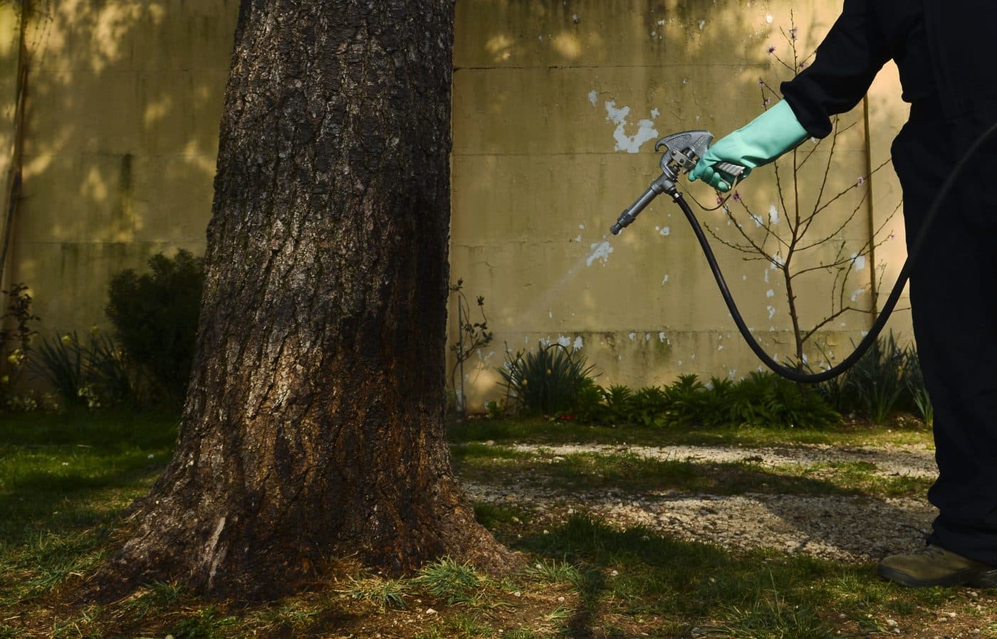Technician applying pest control treatment with a hand sprayer